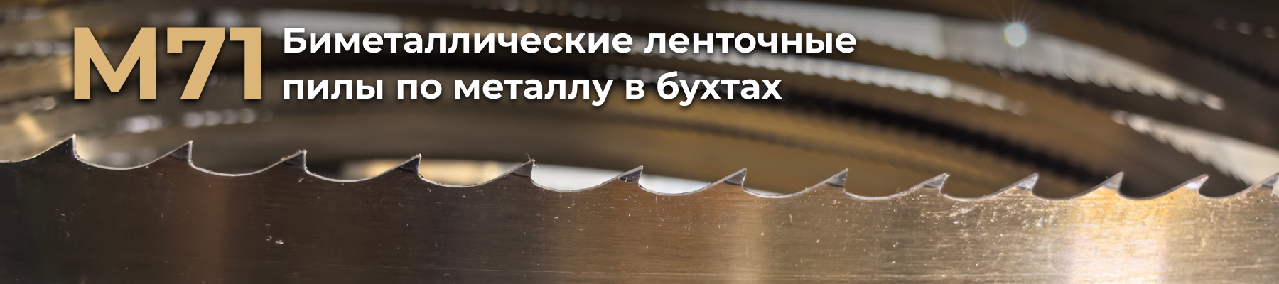 Новинка: биметаллические ленточные пилы М71 в бухтах Новинка: биметаллические ленточные пилы М71 в бухтах